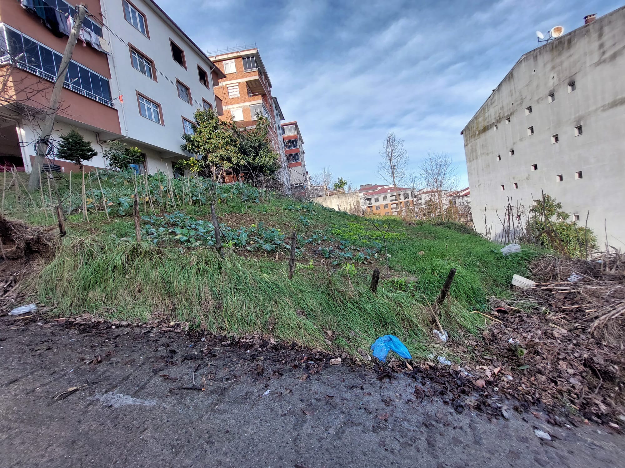 NİZAM BEY ARSA KARACAÖMER